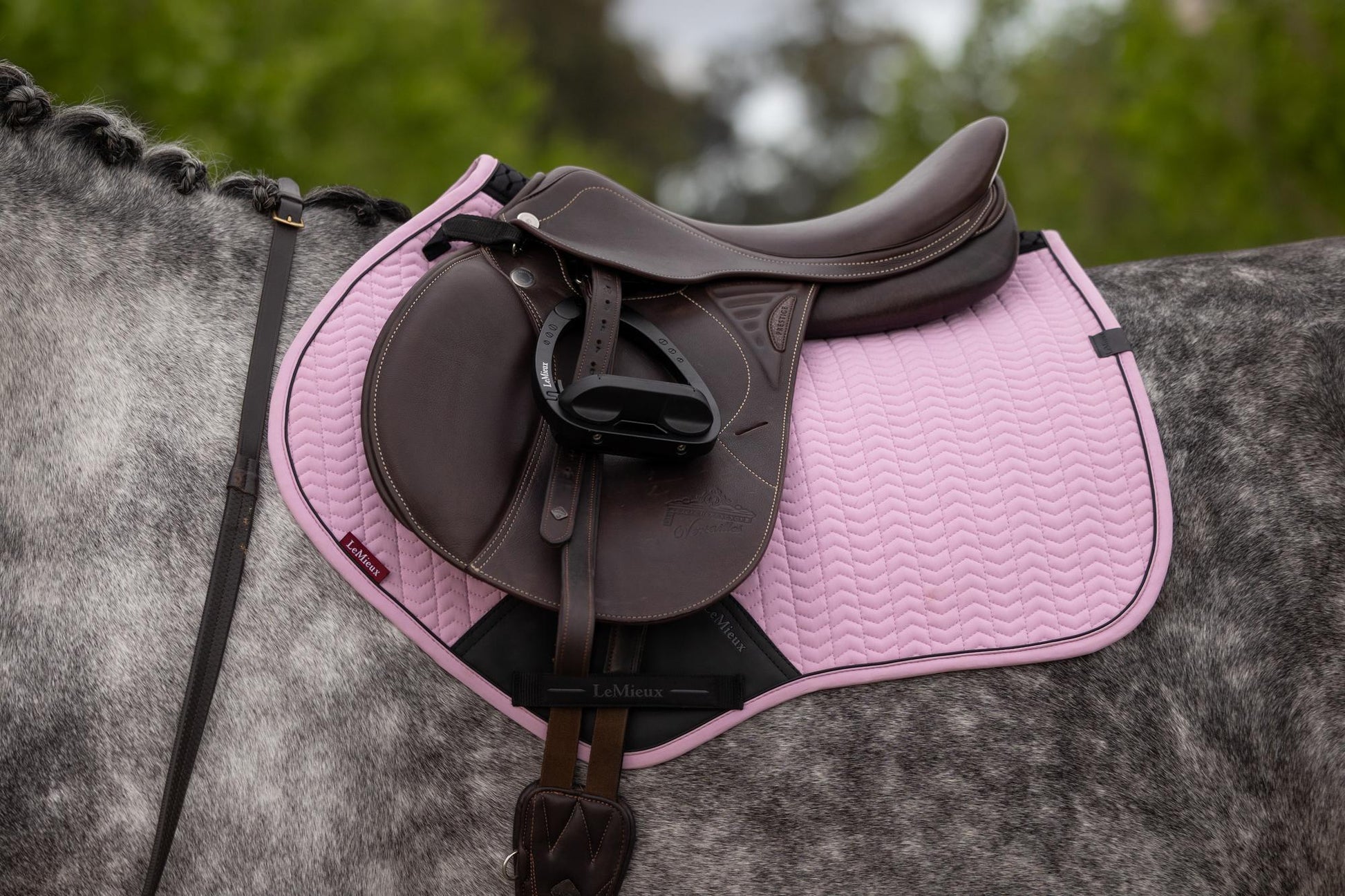 LeMieux Essence Close Contact Saddle Pad Fondant-English Saddle Pad-LeMieux-Small/Medium-Evolution Equestrian Co.