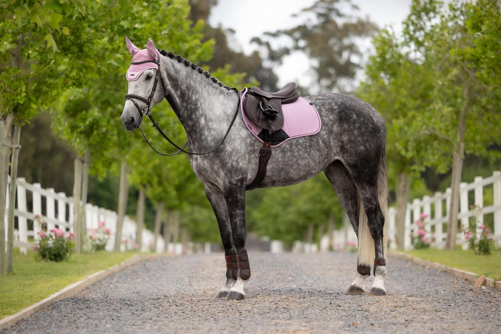 LeMieux Essence Close Contact Saddle Pad Fondant-English Saddle Pad-LeMieux-Small/Medium-Evolution Equestrian Co.