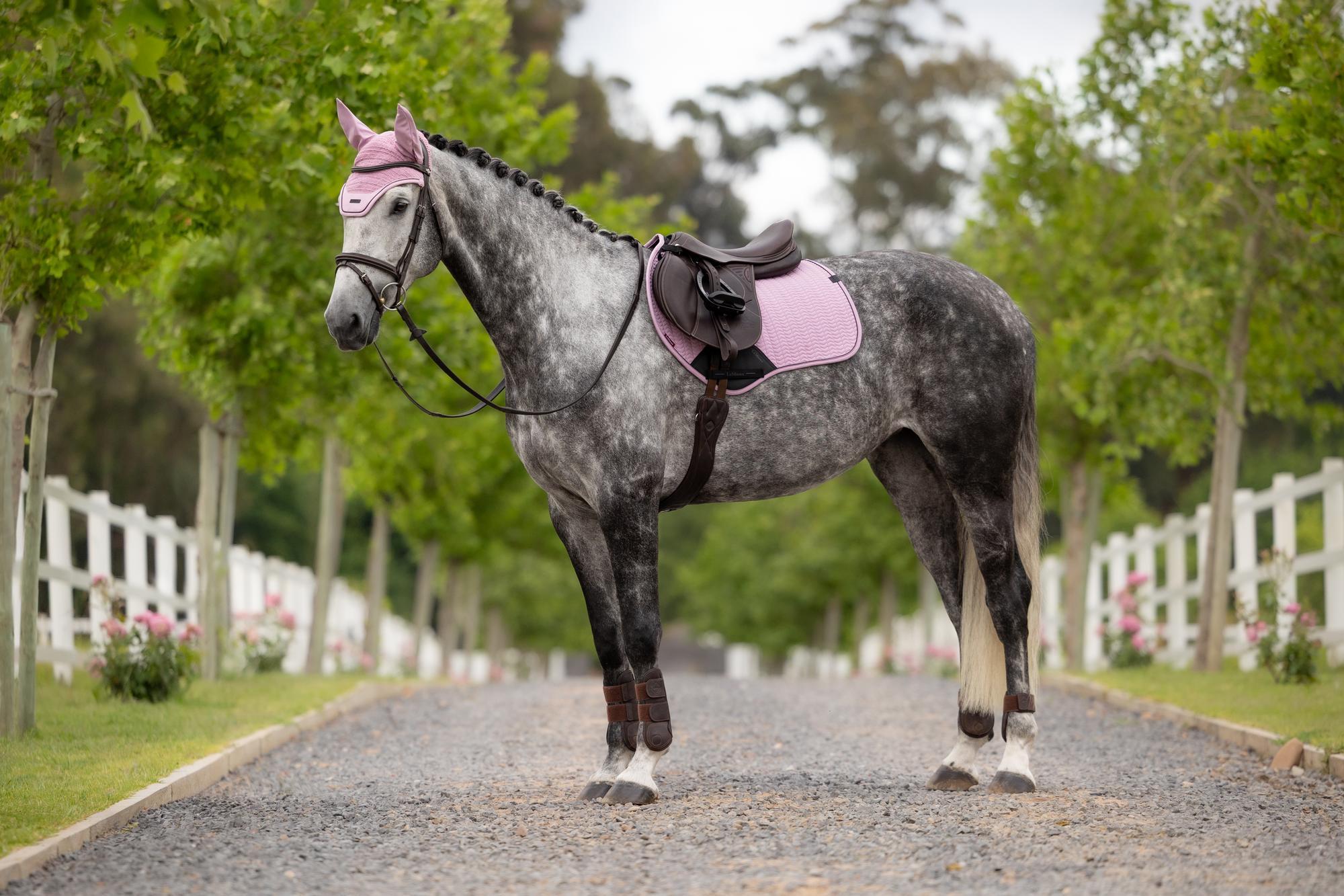 LeMieux Essence Close Contact Saddle Pad Fondant-English Saddle Pad-LeMieux-Small/Medium-Evolution Equestrian Co.