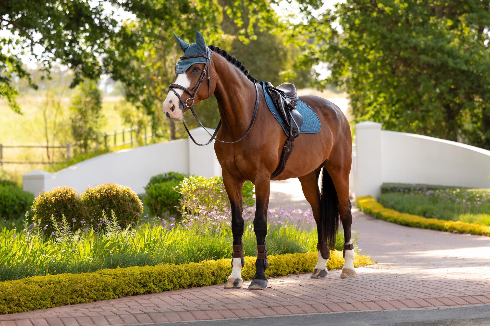 LeMieux Essence Close Contact Saddle Pad Jungle-English Saddle Pad-LeMieux-Small/Medium-Evolution Equestrian Co.