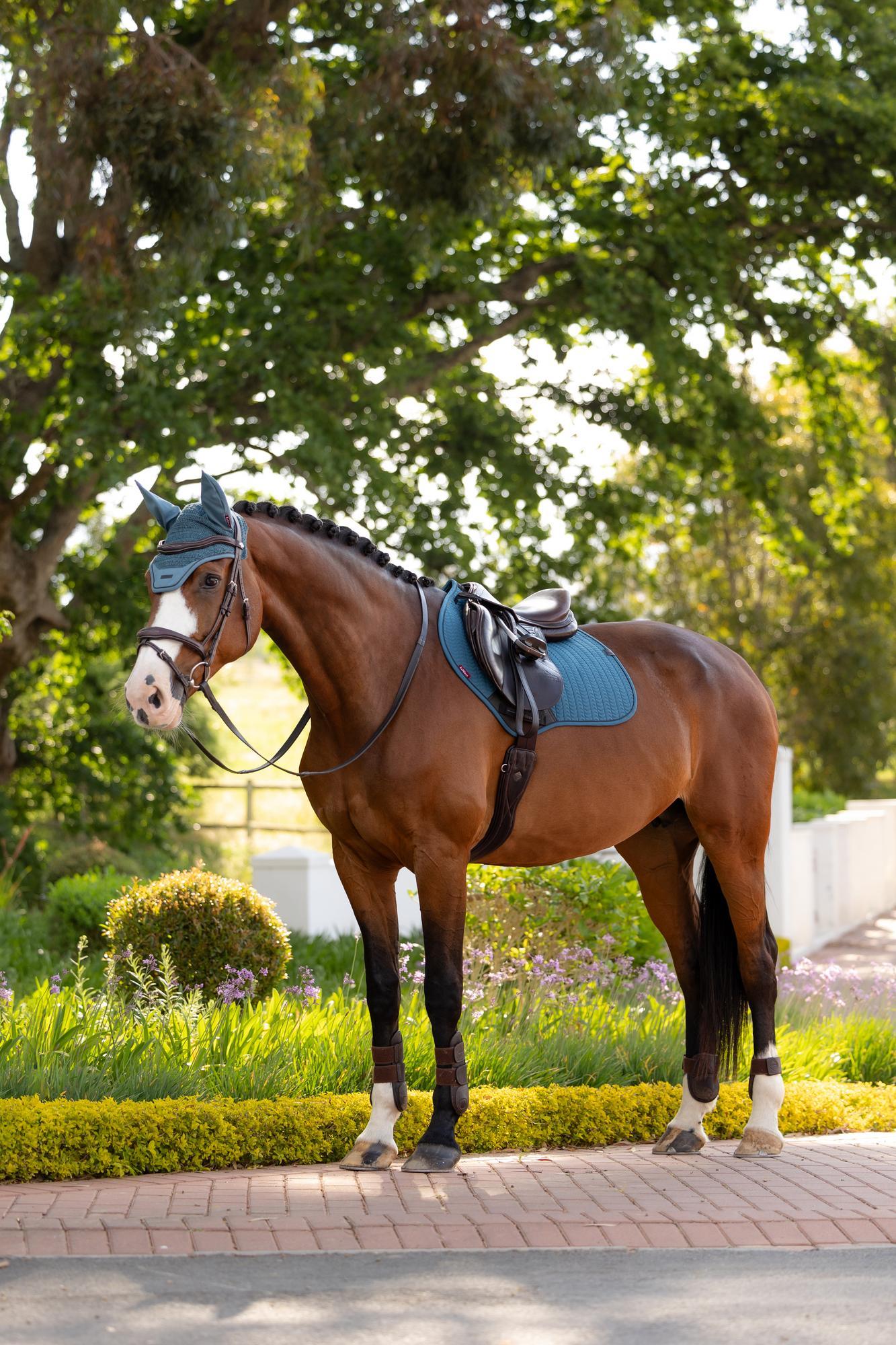 LeMieux Essence Close Contact Saddle Pad Jungle-English Saddle Pad-LeMieux-Small/Medium-Evolution Equestrian Co.