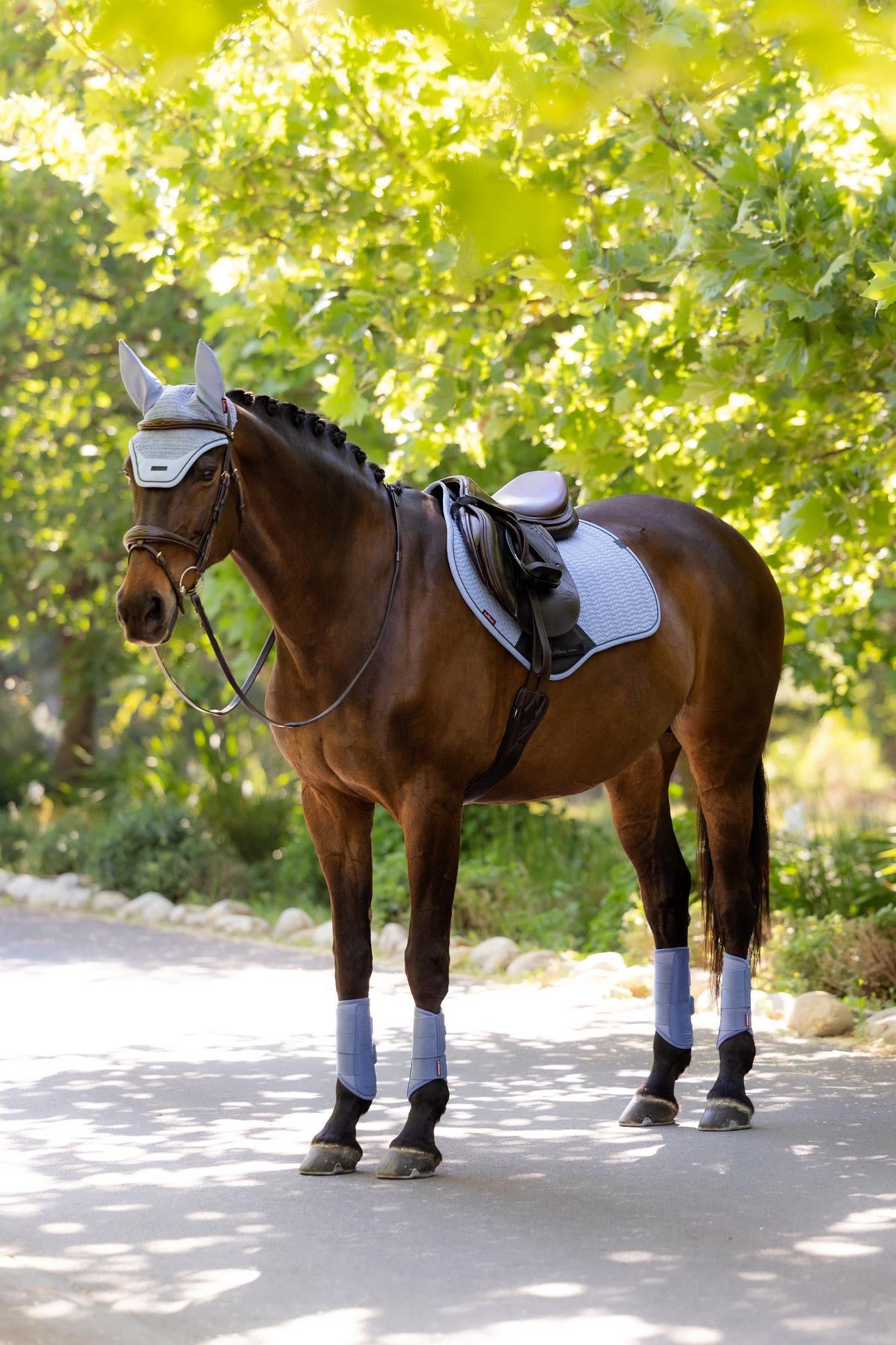 LeMieux Essence Close Contact Saddle Pad Powder Blue-English Saddle Pad-LeMieux-Small/Medium-Evolution Equestrian Co.