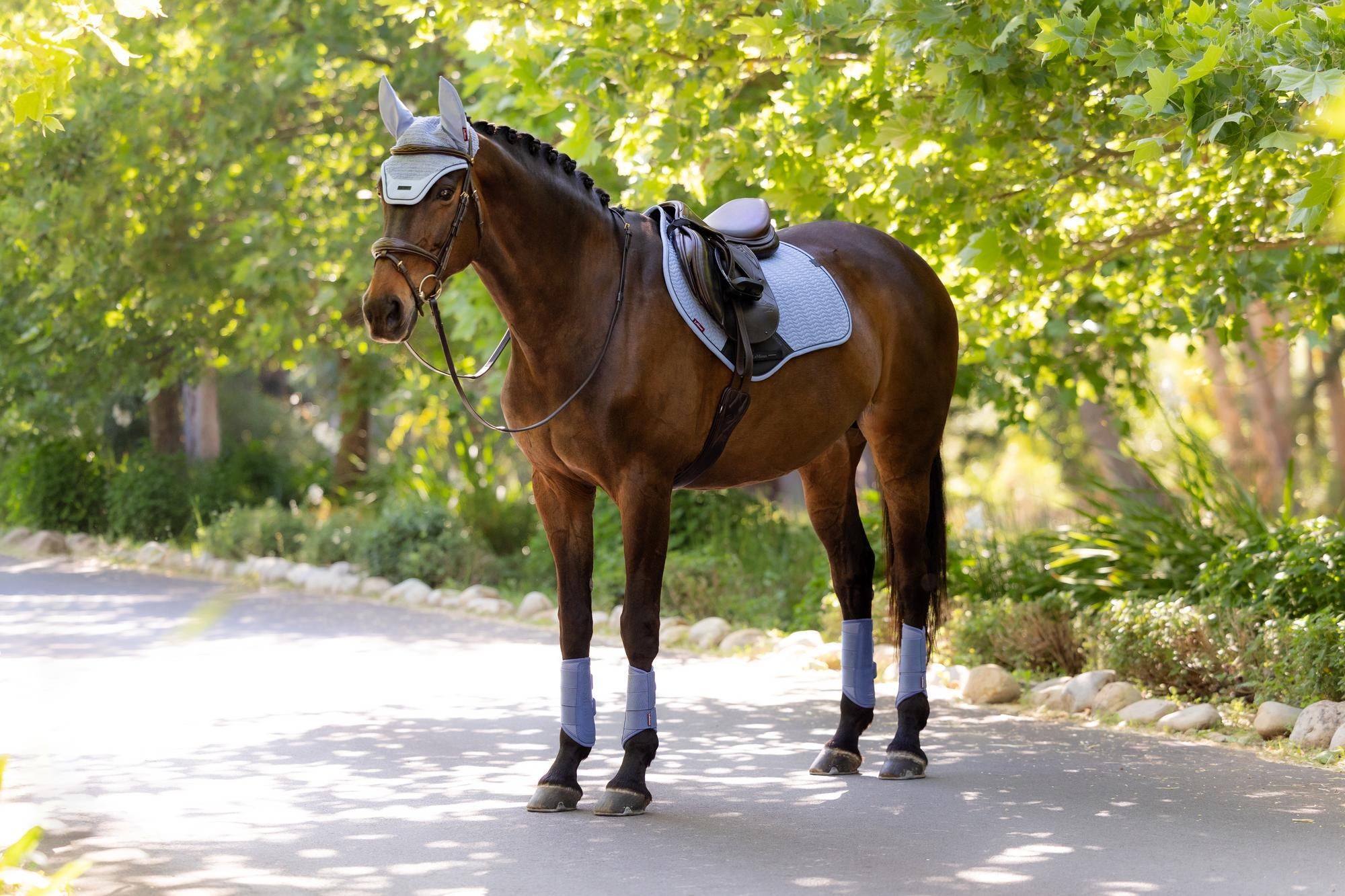 LeMieux Essence Close Contact Saddle Pad Powder Blue-English Saddle Pad-LeMieux-Small/Medium-Evolution Equestrian Co.