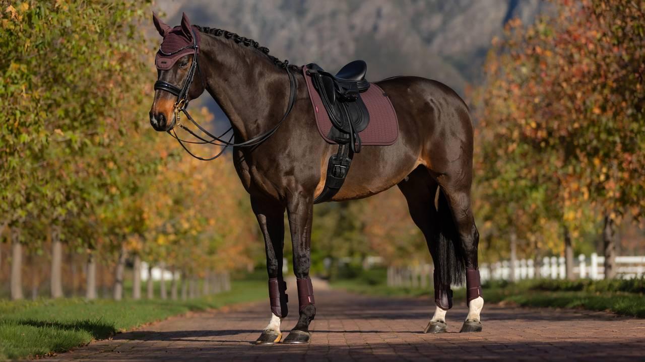 LeMieux Essence Dressage Saddle Pad Damson-English Saddle Pad-LeMieux-Small/Medium-Evolution Equestrian Co.