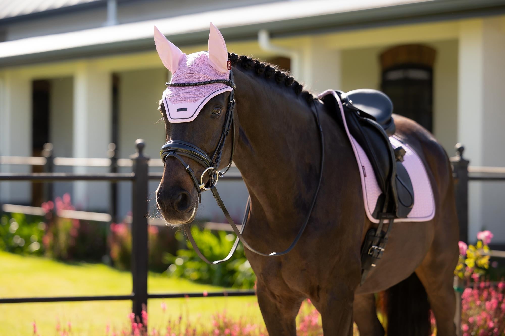 LeMieux Essence Dressage Saddle Pad Fondant-English Saddle Pad-LeMieux-Small/Medium-Evolution Equestrian Co.