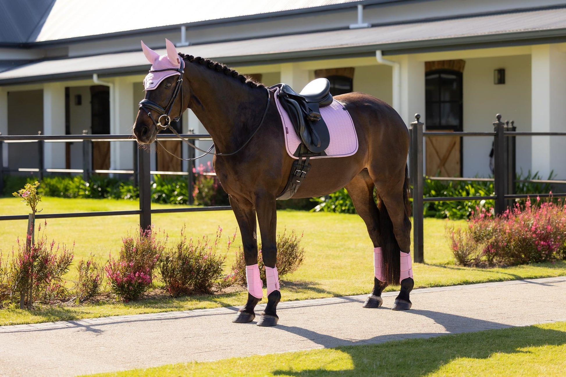LeMieux Essence Dressage Saddle Pad Fondant-English Saddle Pad-LeMieux-Small/Medium-Evolution Equestrian Co.