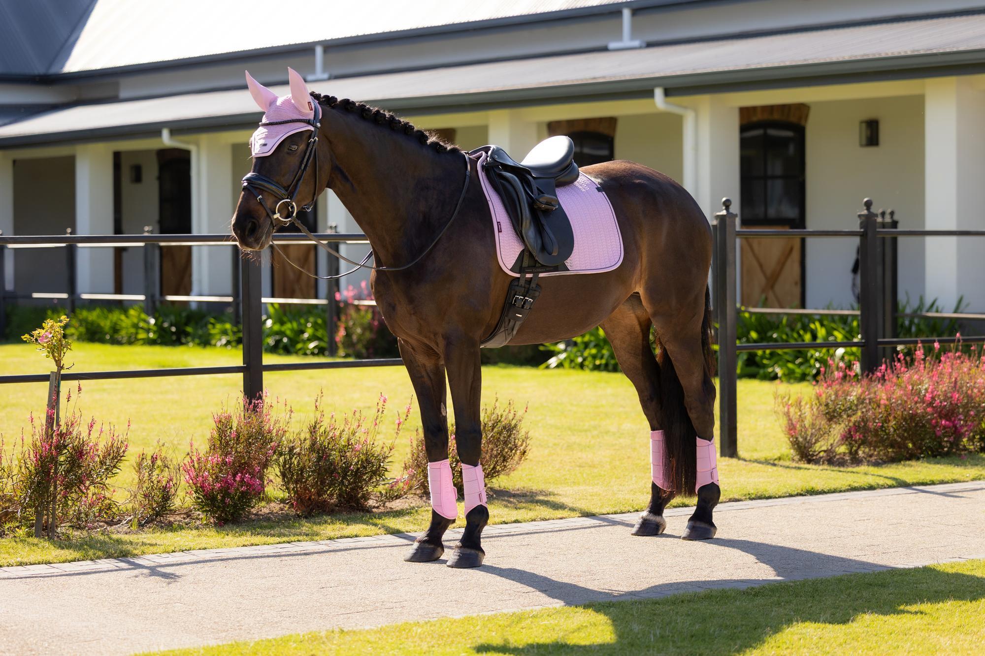 LeMieux Essence Dressage Saddle Pad Fondant-English Saddle Pad-LeMieux-Small/Medium-Evolution Equestrian Co.