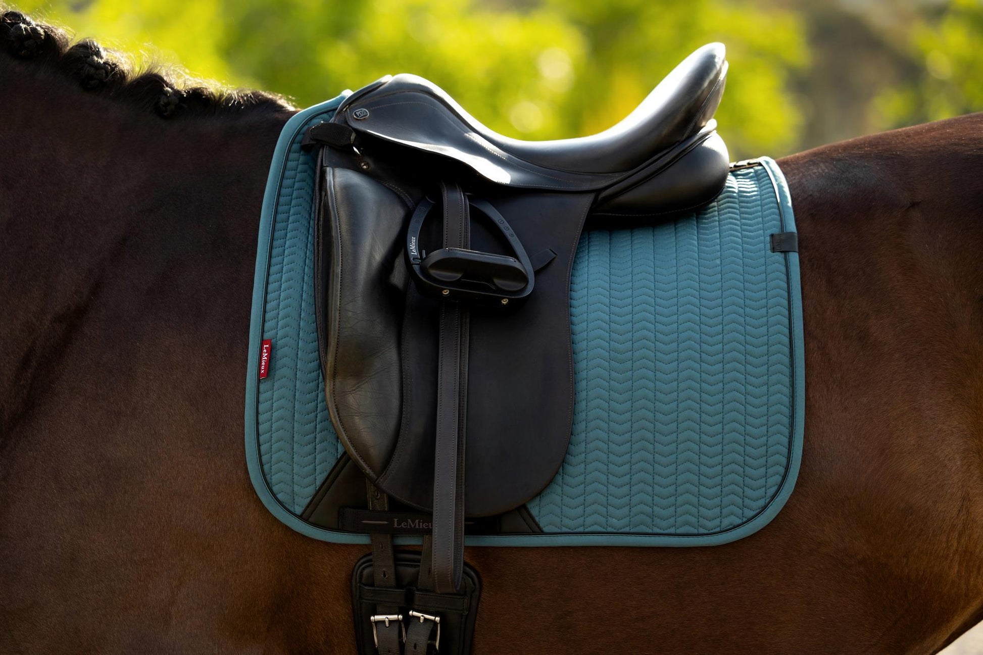 LeMieux Essence Dressage Saddle Pad Jungle-English Saddle Pad-LeMieux-Small/Medium-Evolution Equestrian Co.