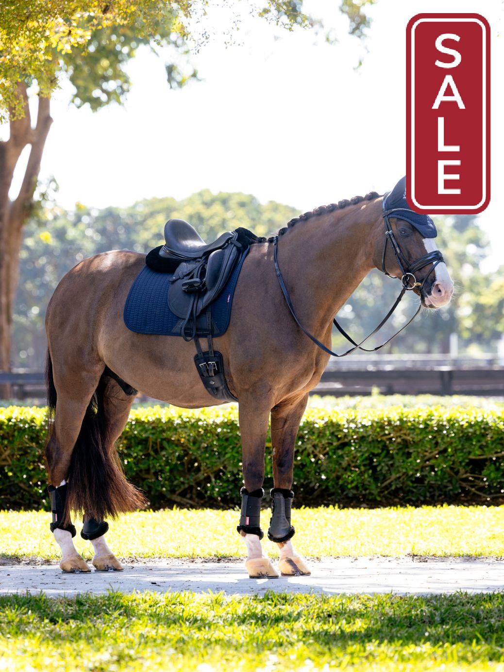 LeMieux Essence Dressage Saddle Pad Navy-Dressage Saddle Pad-LeMieux-Evolution Equestrian Co.