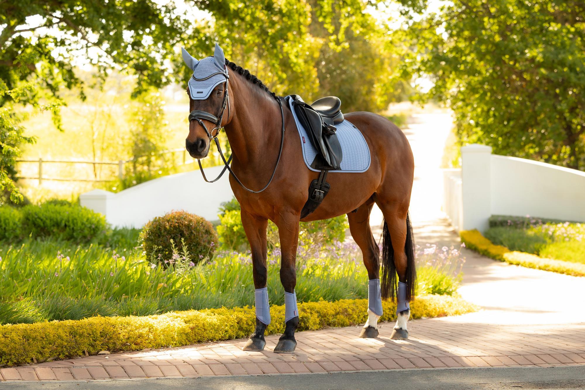 LeMieux Essence Dressage Saddle Pad Powder Blue-English Saddle Pad-LeMieux-Small/Medium-Evolution Equestrian Co.
