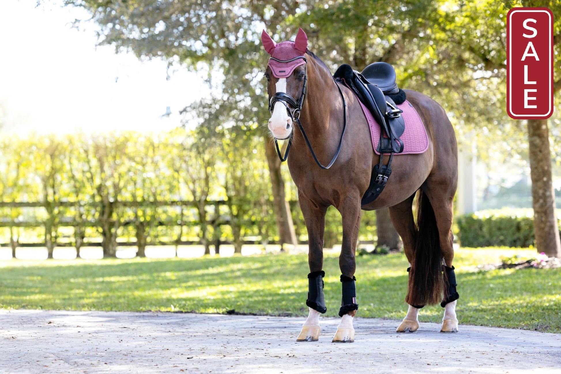 LeMieux Essence Dressage Saddle Pad Rosewood-Dressage Saddle Pad-LeMieux-Evolution Equestrian Co.