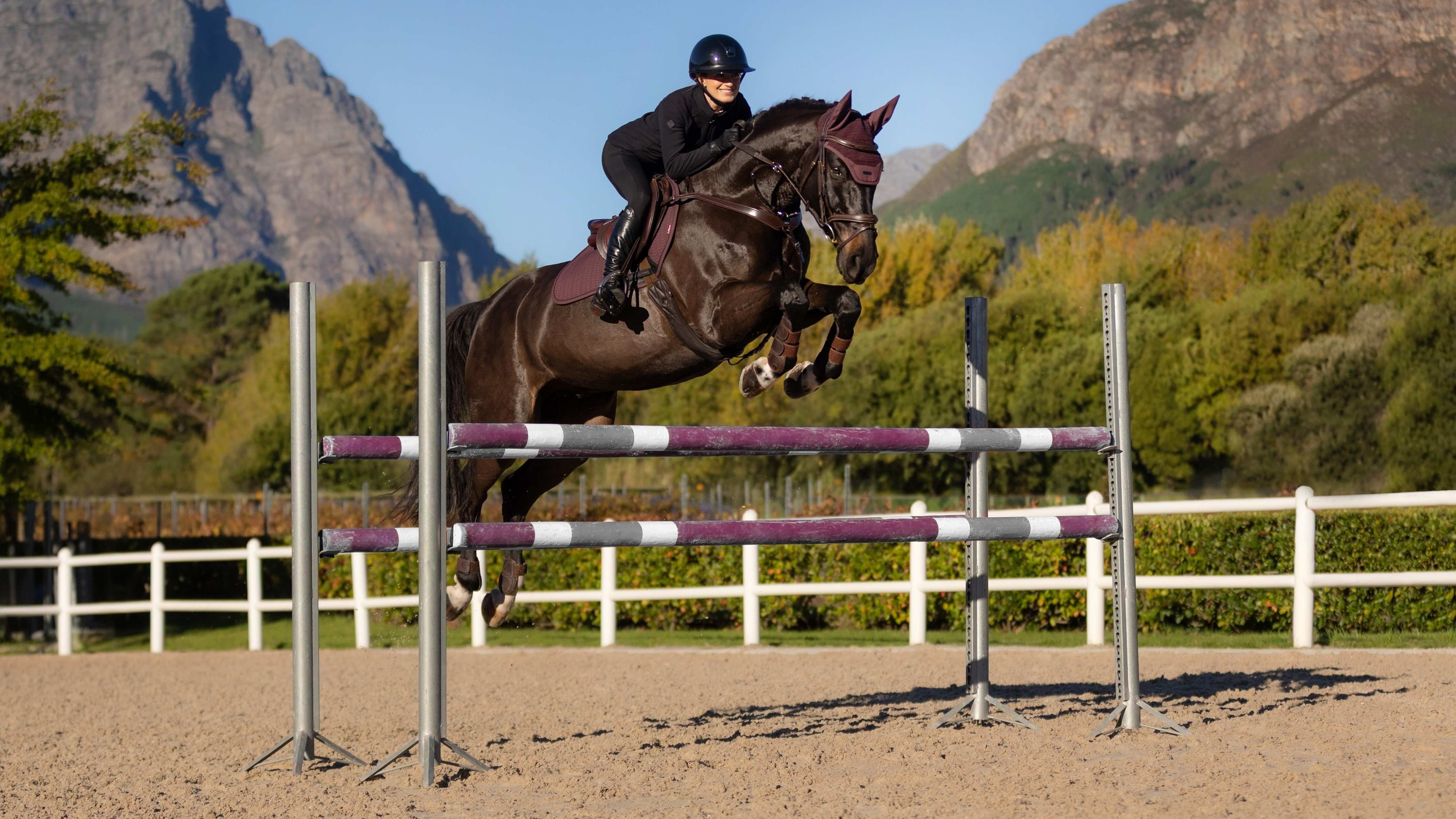 LeMieux Essence EuroJump Saddle Pad Damson-English Saddle Pad-LeMieux-Small/Medium-Evolution Equestrian Co.