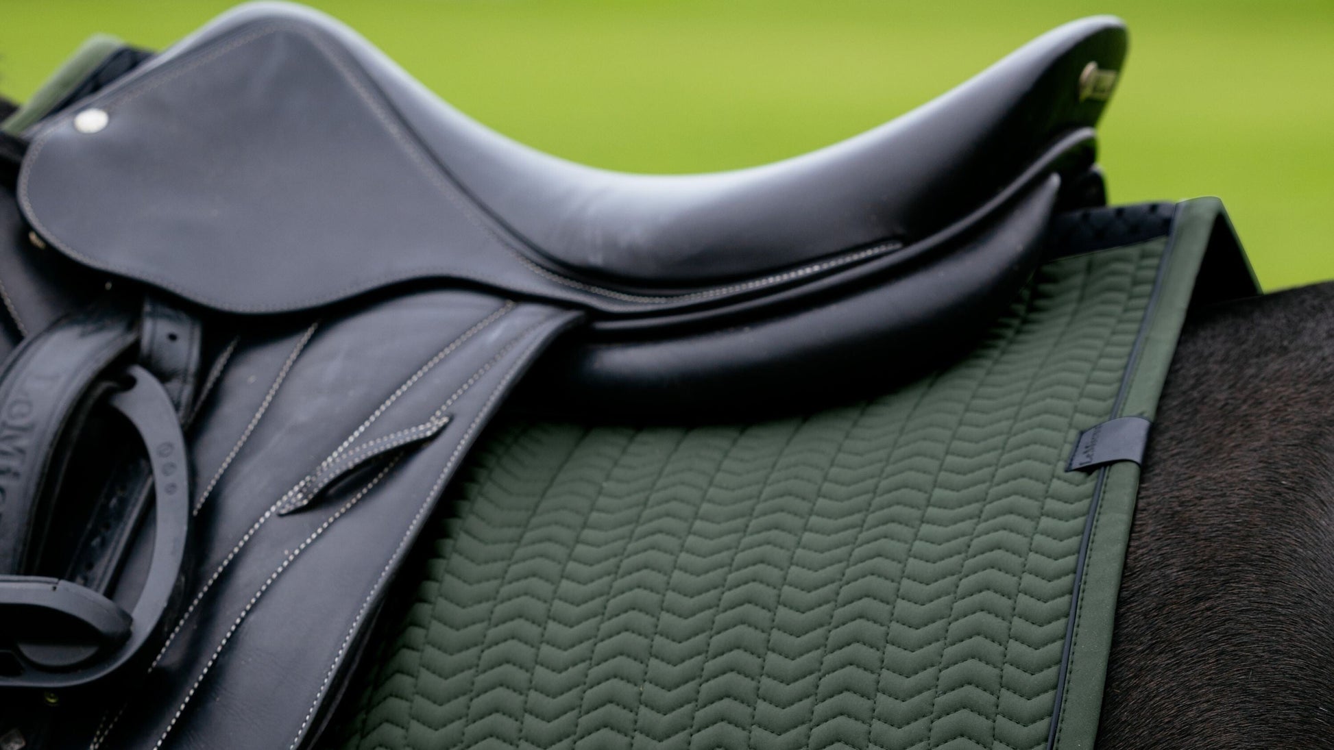 LeMieux Essence EuroJump Saddle Pad Pine-English Saddle Pad-LeMieux-Small/Medium-Evolution Equestrian Co.