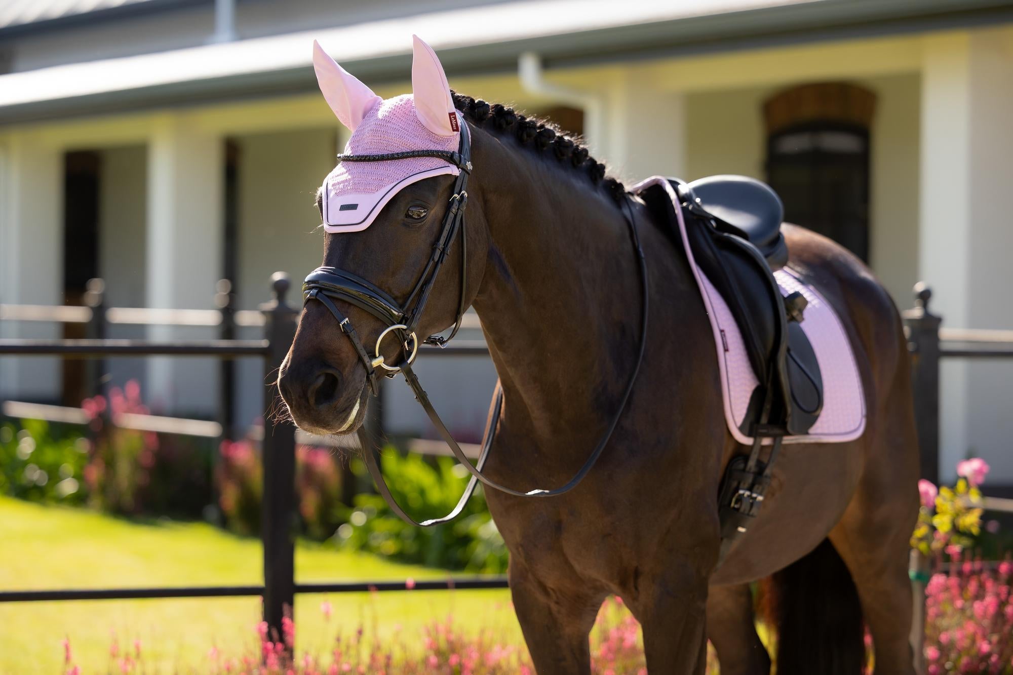 LeMieux Essence Fly Hood Fondant-English Accessories-LeMieux-Medium (Cob)-Evolution Equestrian Co.