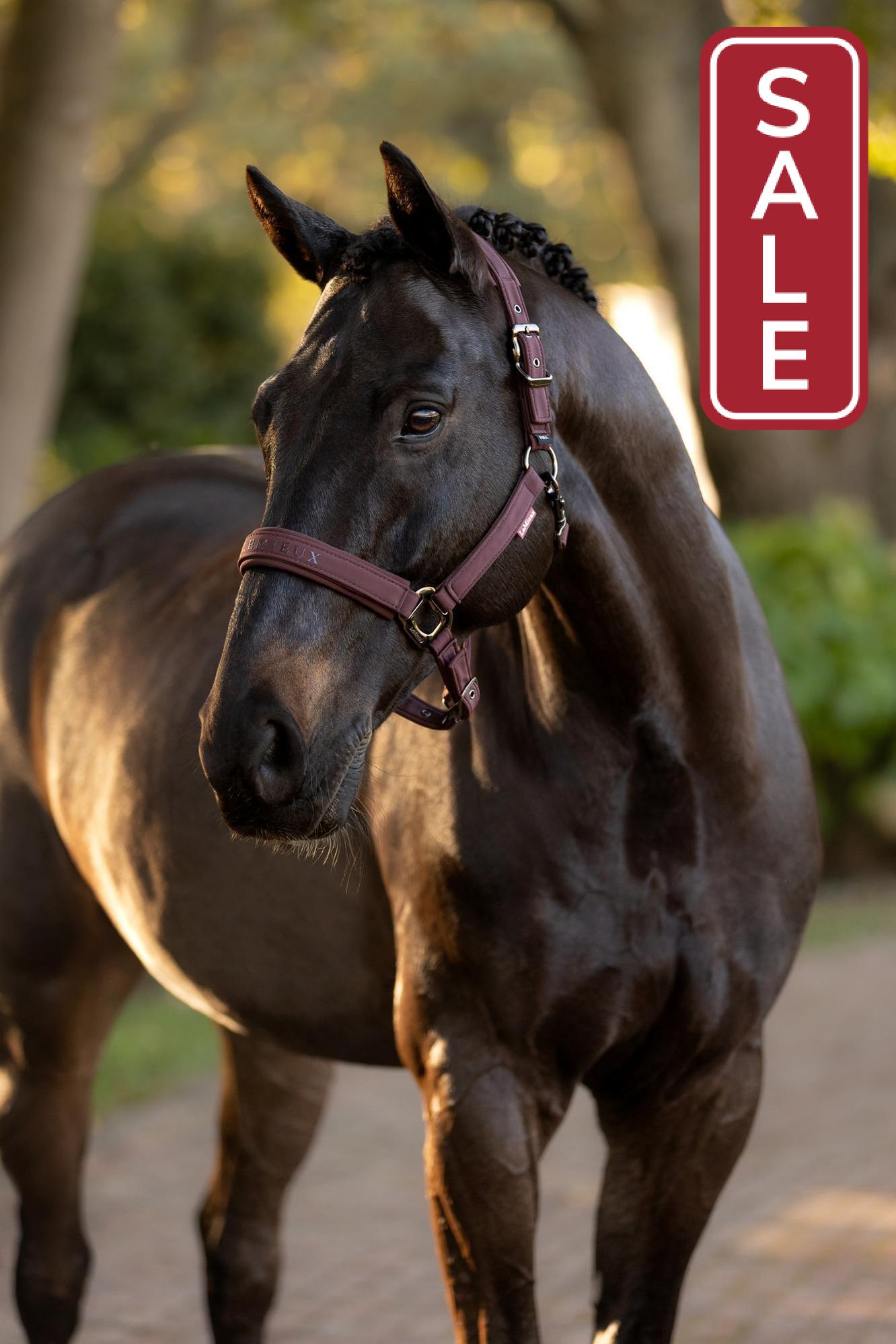 LeMieux Essence Halter Damson-Halter-LeMieux-Pony-Evolution Equestrian Co.