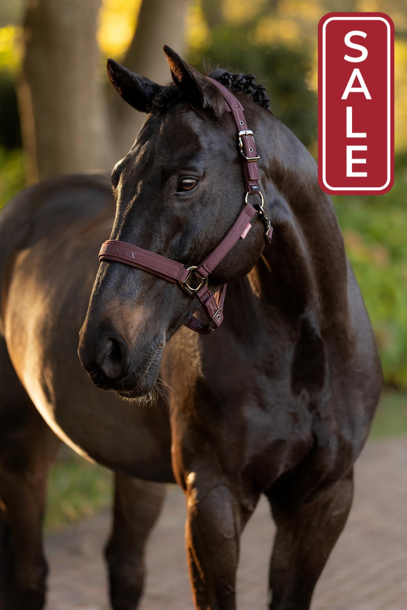 LeMieux Essence Halter Damson-Halter-LeMieux-Pony-Evolution Equestrian Co.