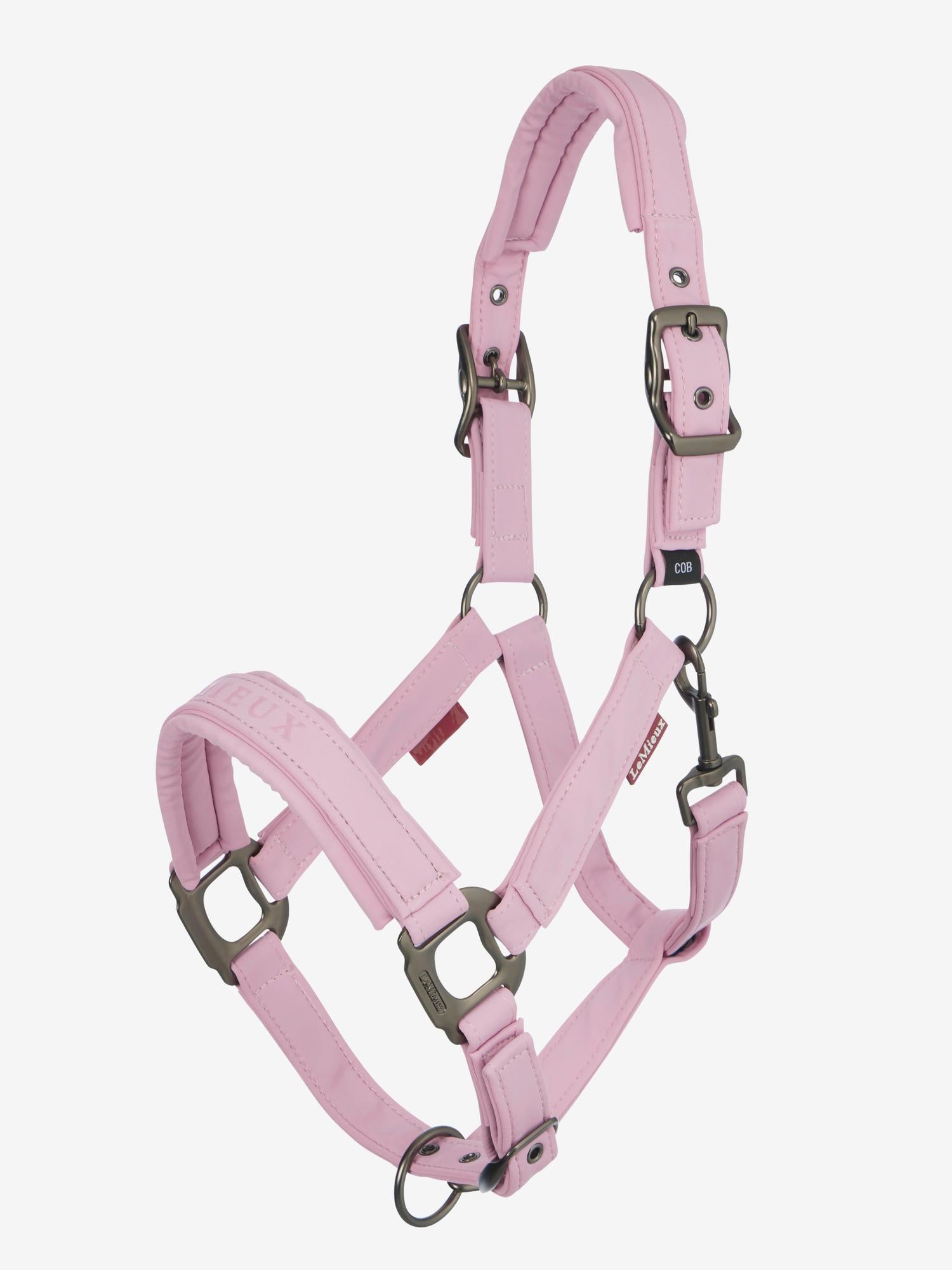 LeMieux Essence Halter Fondant-Halter-LeMieux-Cob-Evolution Equestrian Co.