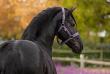Load image into Gallery viewer, LeMieux Essence Halter Juniper-Halter-LeMieux-Pony-Evolution Equestrian Co.
