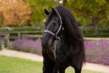 Load image into Gallery viewer, LeMieux Essence Halter Juniper-Halter-LeMieux-Pony-Evolution Equestrian Co.

