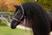 Load image into Gallery viewer, LeMieux Essence Halter Juniper-Halter-LeMieux-Pony-Evolution Equestrian Co.

