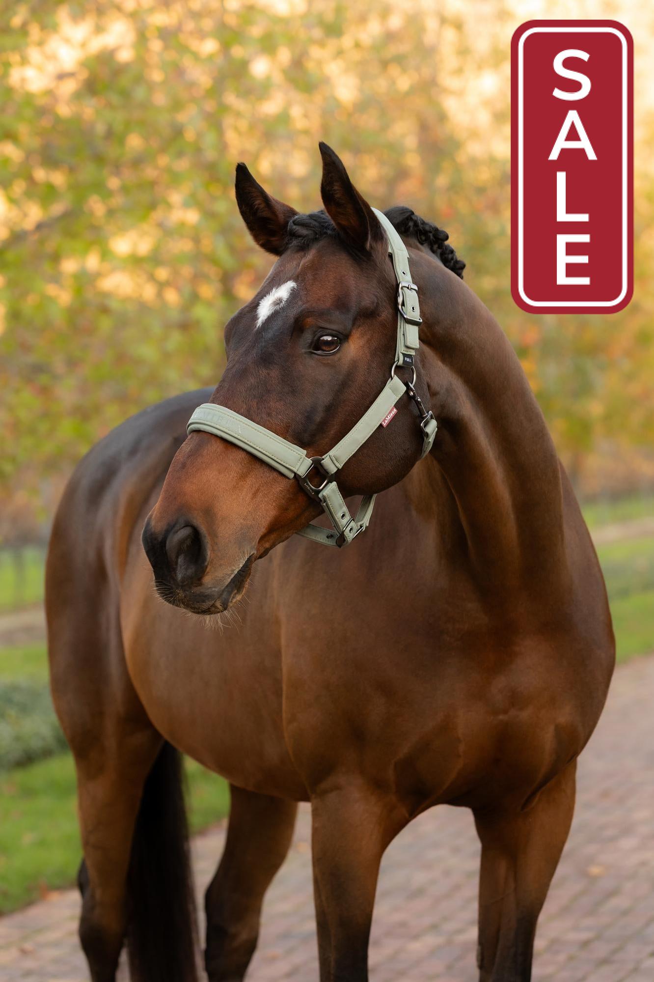 LeMieux Essence Halter Rosemary-Halter-LeMieux-Pony-Evolution Equestrian Co.