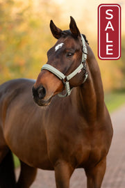 LeMieux Essence Halter Rosemary-Halter-LeMieux-Pony-Evolution Equestrian Co.