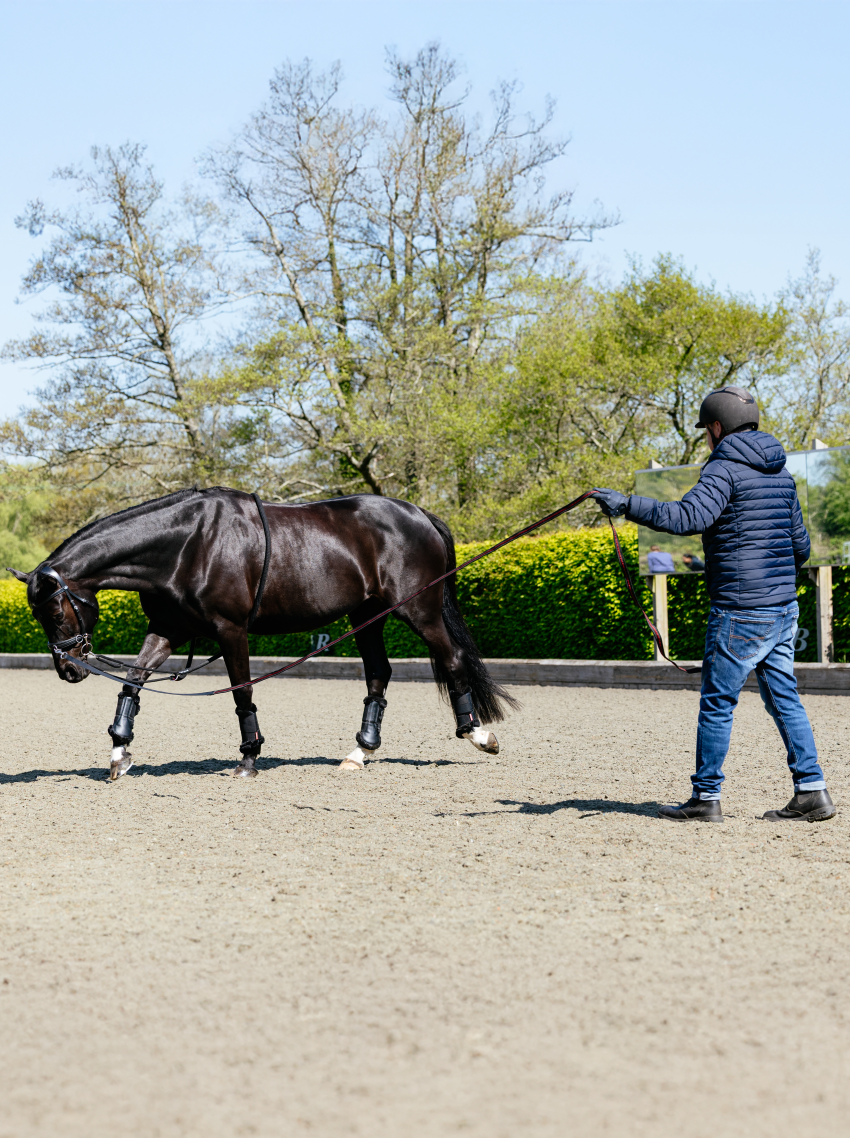 LeMieux Grip-Tek Lunge Line-Horse Training-LeMieux-Evolution Equestrian Co.