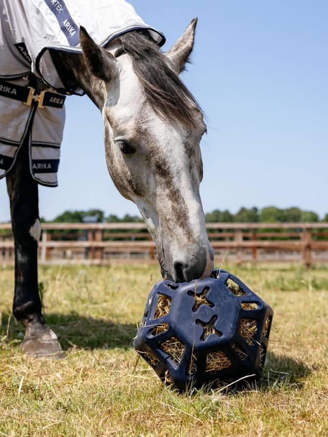LeMieux Hay Ball-Stable Supplies-LeMieux-Chilli-Evolution Equestrian Co.