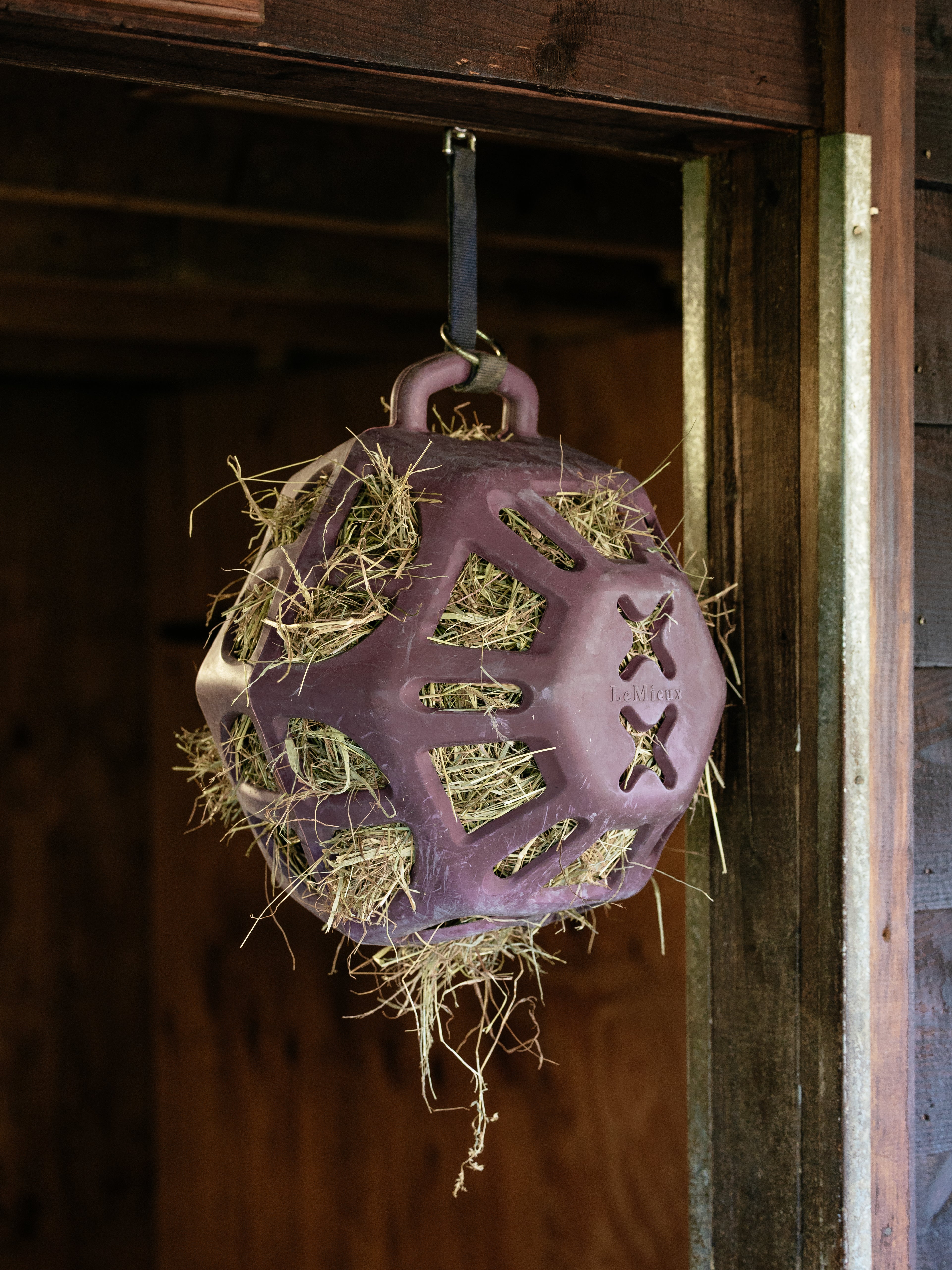 LeMieux Hay Ball-Stable Supplies-LeMieux-Chilli-Evolution Equestrian Co.