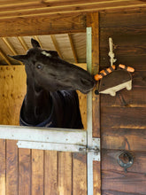 Load image into Gallery viewer, LeMieux Horse Toy Hedgehog-Horse Toy-LeMieux-Evolution Equestrian Co.
