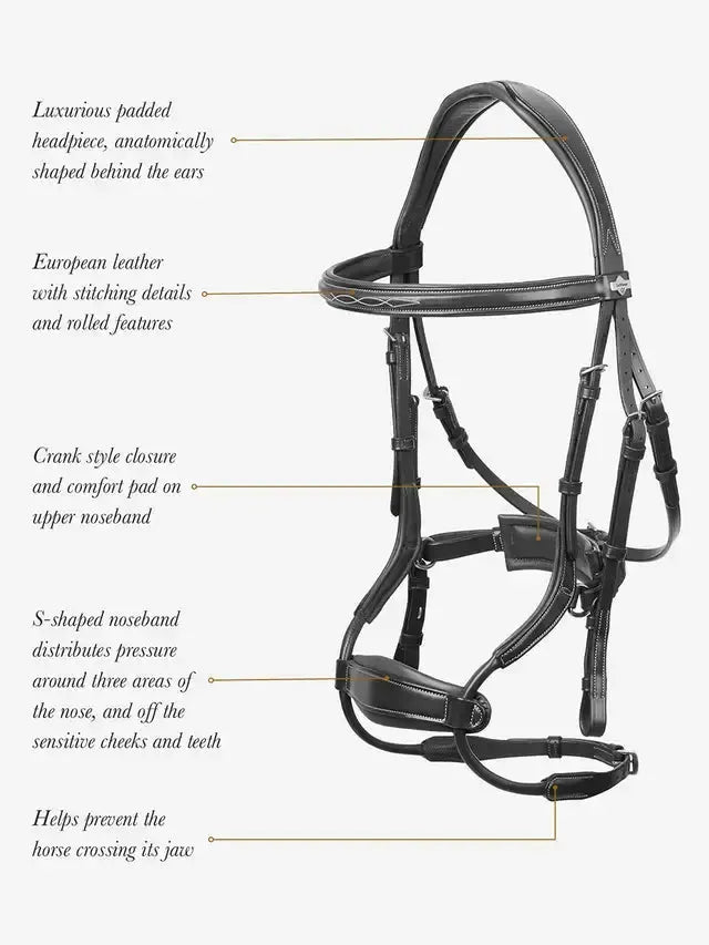 LeMieux Kudos Arc Bridle XFull-Bridle-Consignment-Evolution Equestrian Co.