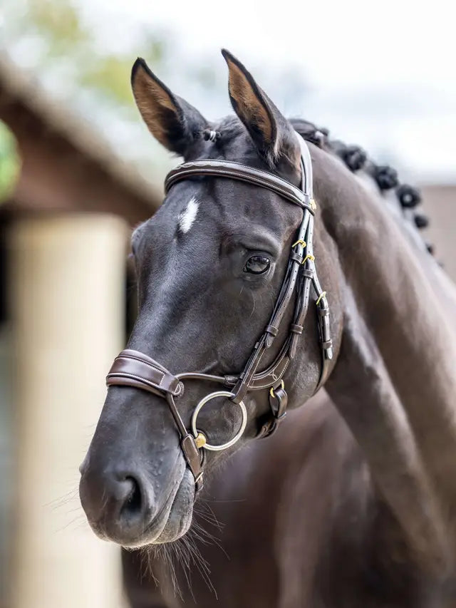 LeMieux Kudos Arc Bridle XFull-Bridle-Consignment-Evolution Equestrian Co.
