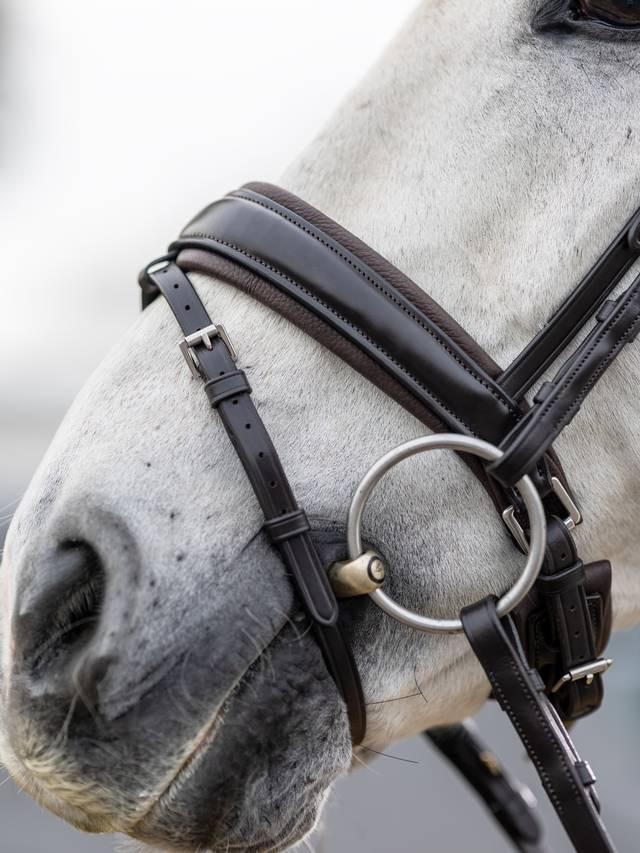 LeMieux Kudos Classic Dressage Bridle-Bridle-LeMieux-Black-Pony-Evolution Equestrian Co.
