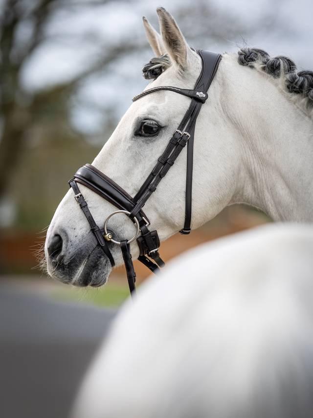 LeMieux Kudos Classic Dressage Bridle-Bridle-LeMieux-Black-Pony-Evolution Equestrian Co.