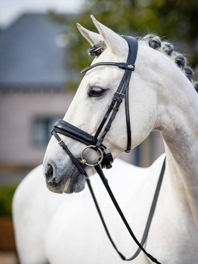 LeMieux Kudos Classic Dressage Bridle-Bridle-LeMieux-Black-Pony-Evolution Equestrian Co.