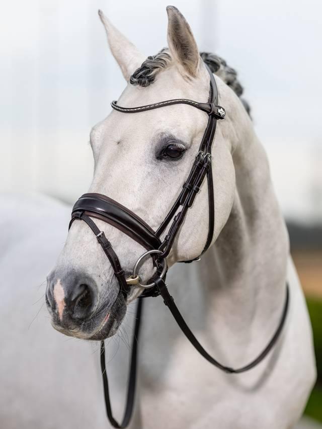 LeMieux Kudos Classic Dressage Bridle-Bridle-LeMieux-Black-Pony-Evolution Equestrian Co.