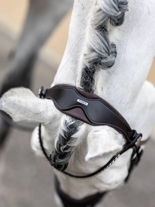 LeMieux Kudos Classic Dressage Bridle-Bridle-LeMieux-Black-Pony-Evolution Equestrian Co.