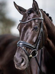 LeMieux Kudos Classic Dressage Bridle-Bridle-LeMieux-Black-Pony-Evolution Equestrian Co.