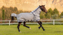 Load image into Gallery viewer, LeMieux Kudos Gladiator Fly Rug-Horse Blankets &amp; Sheets-LeMieux-66&quot; / 5&#39;6&quot;-Evolution Equestrian Co.
