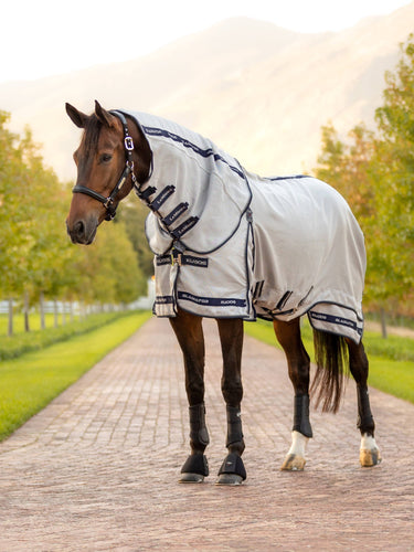 LeMieux Kudos Gladiator Fly Rug-Horse Blankets & Sheets-LeMieux-66