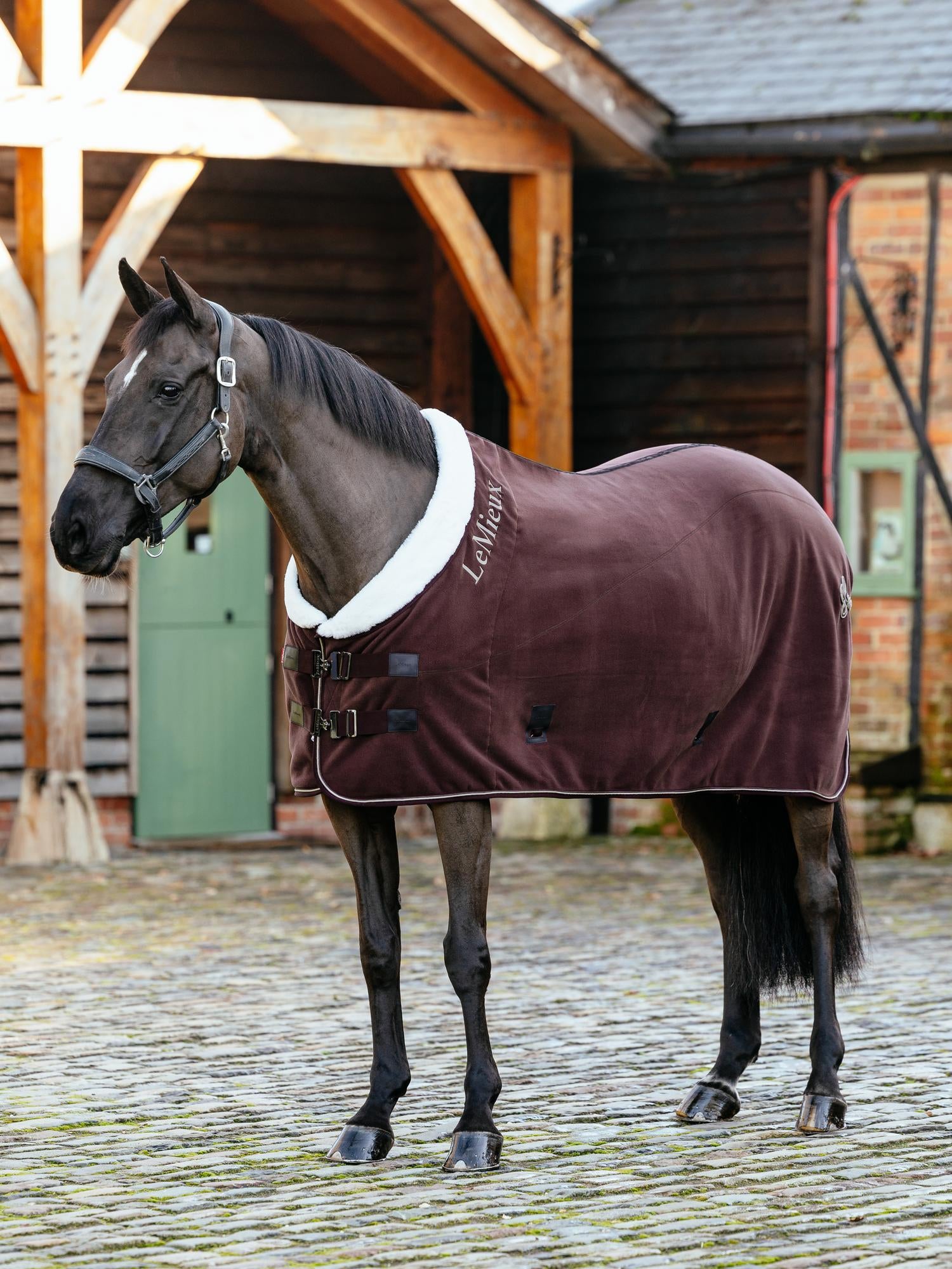 LeMieux Kudos Luxe Fleece Cooler Damson-Horse Blanket-LeMieux-72"-Evolution Equestrian Co.