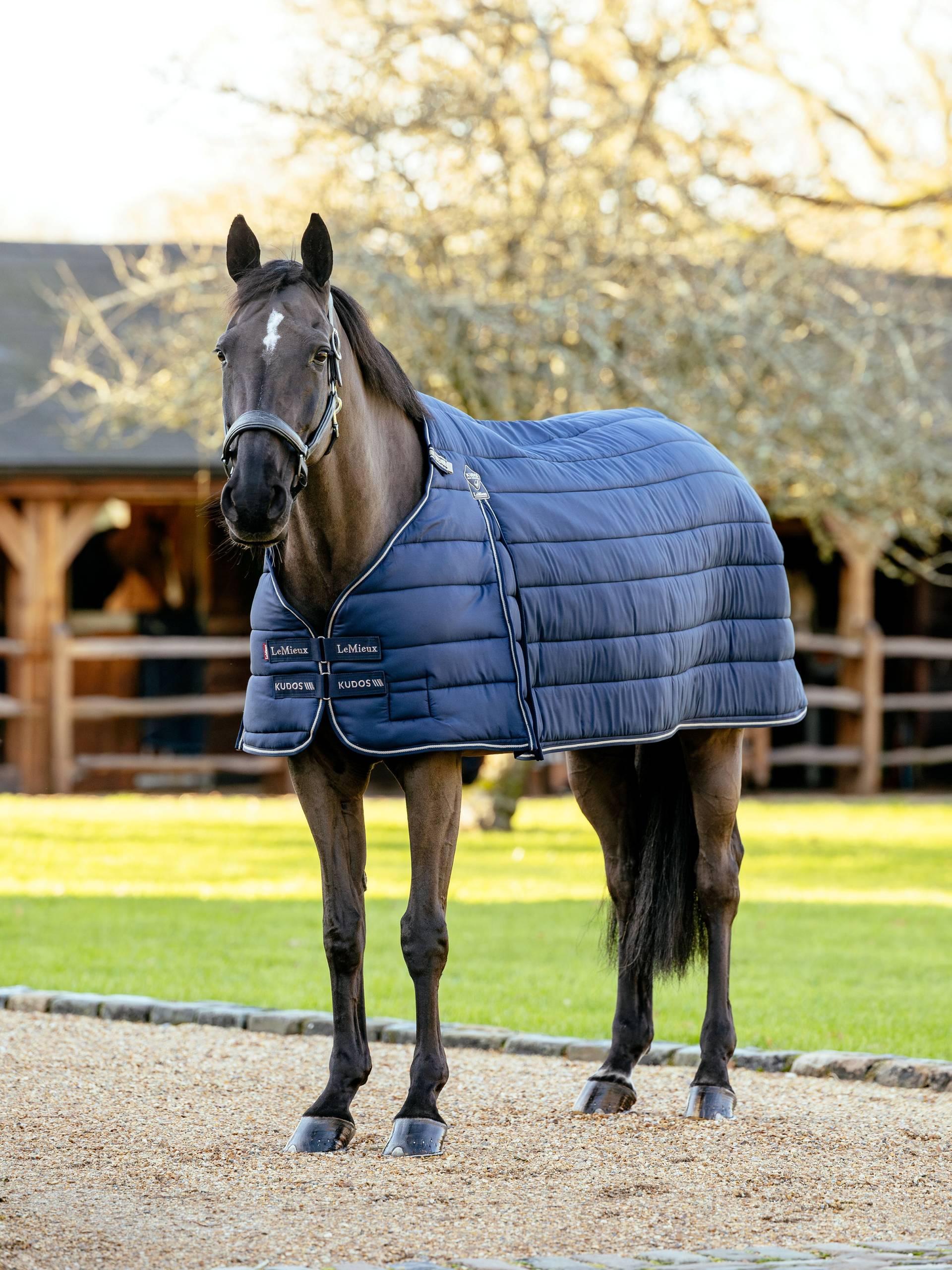 LeMieux Kudos Rug Liner 50g-Horse Blanket-LeMieux-66"-Evolution Equestrian Co.