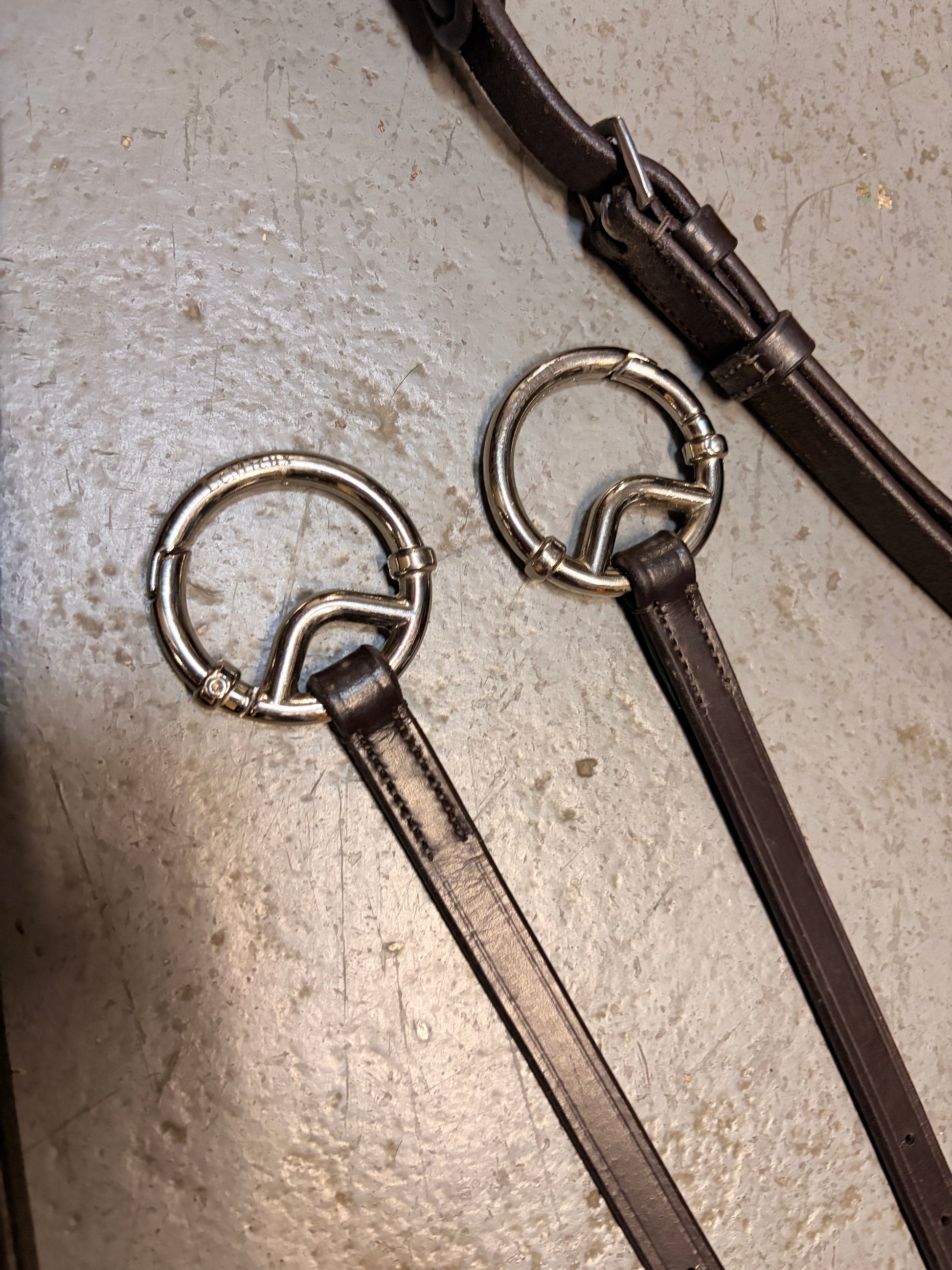 LeMieux Kudos Running Martingale-English Tack-Consignment-Evolution Equestrian Co.