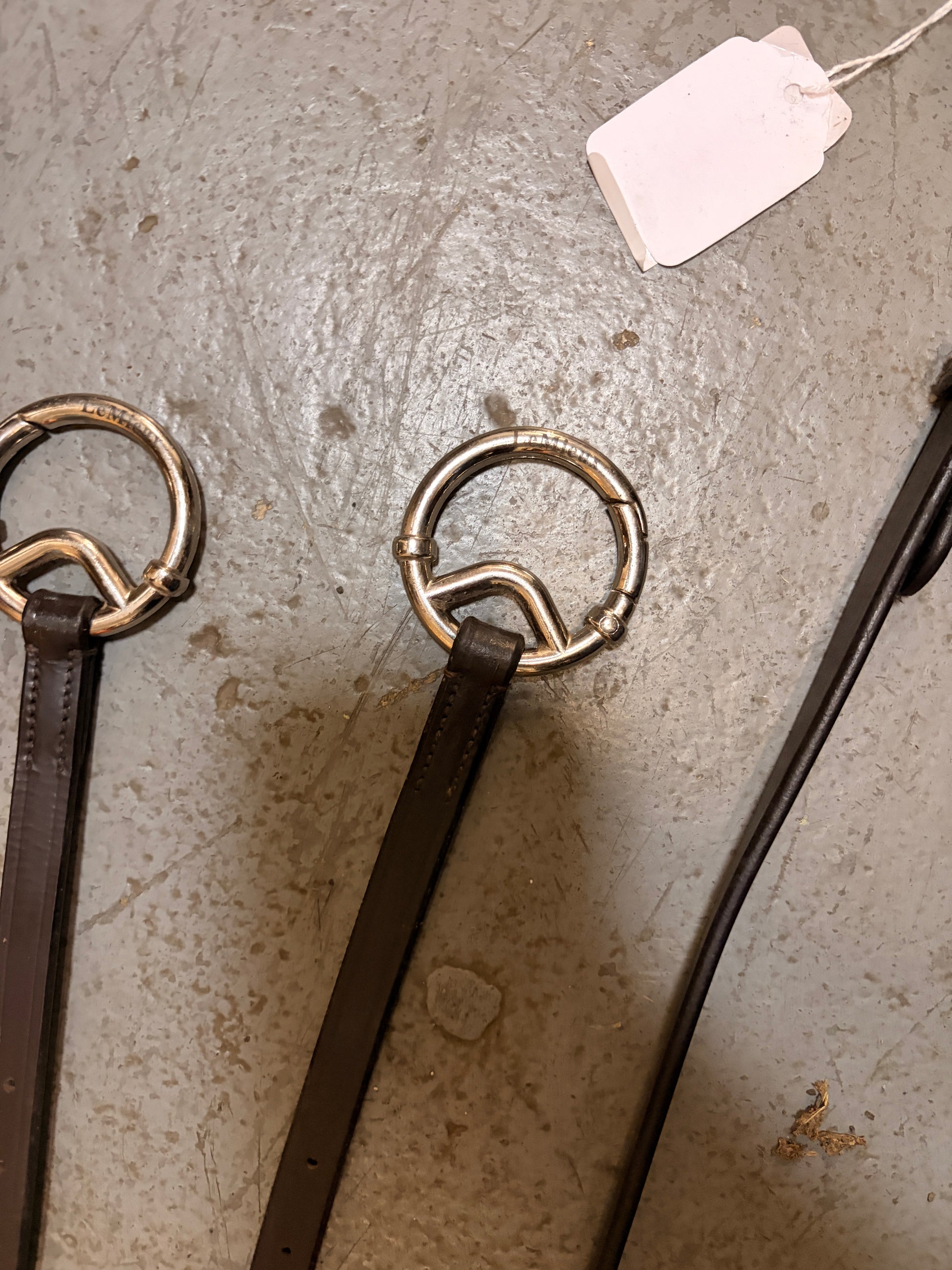 LeMieux Kudos Running Martingale Full-English Tack-Consignment-Evolution Equestrian Co.