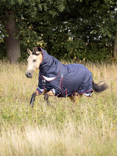 LeMieux Kudos Turnout Rug 50g-Horse Blanket-LeMieux-69