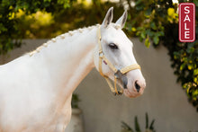 Load image into Gallery viewer, LeMieux Logo Halter Mimosa-Halter-LeMieux-Pony-Evolution Equestrian Co.

