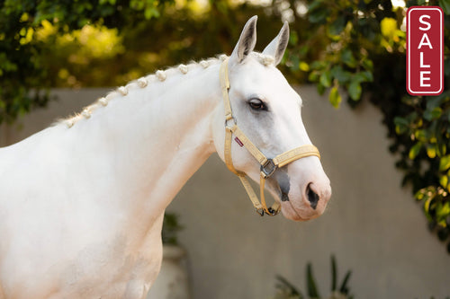 LeMieux Logo Halter Mimosa-Halter-LeMieux-Pony-Evolution Equestrian Co.