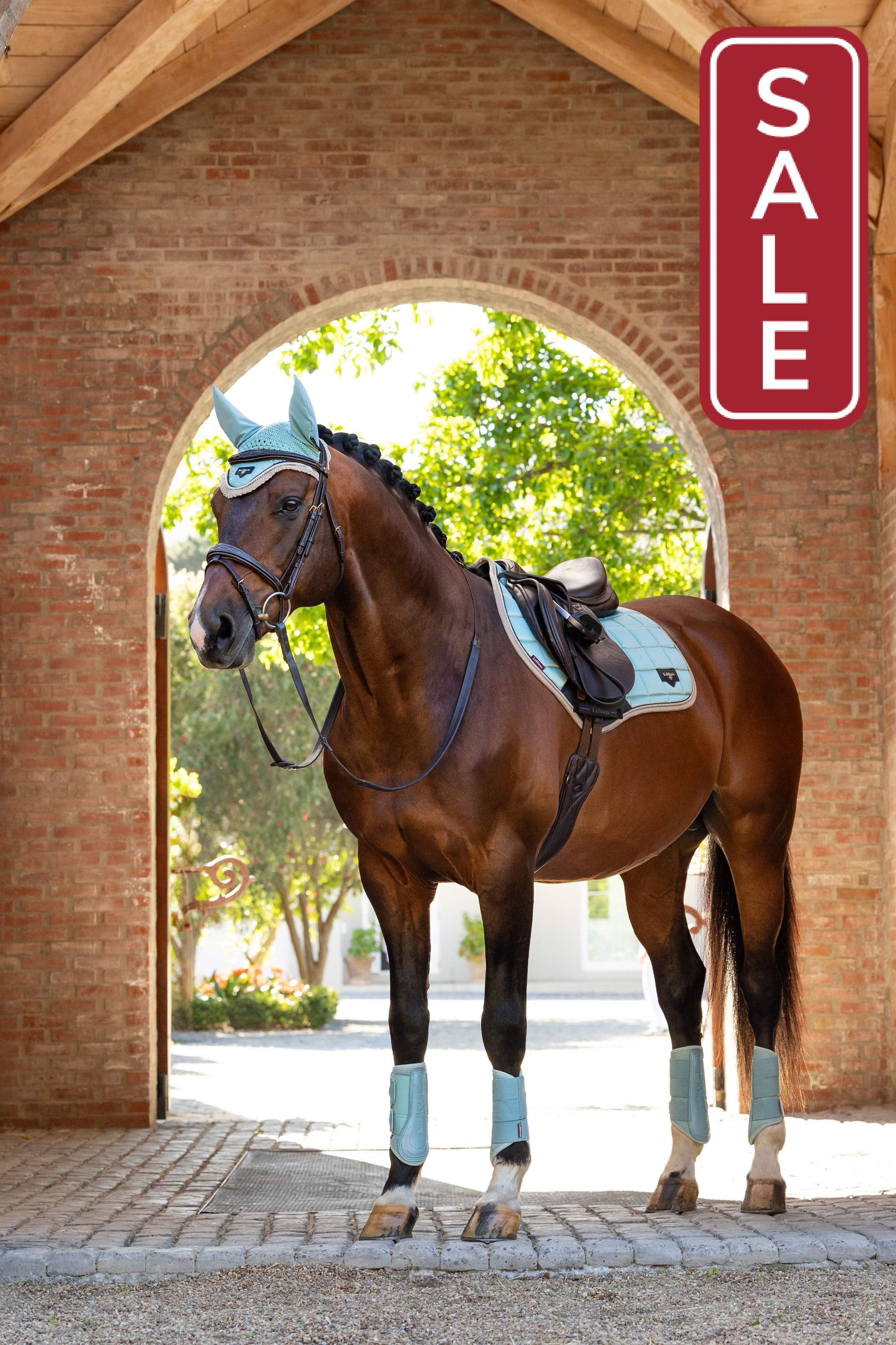 LeMieux Loire Classic Aqua GP Saddle Pad-English Saddle Pad-LeMieux-Small/Medium-Evolution Equestrian Co.