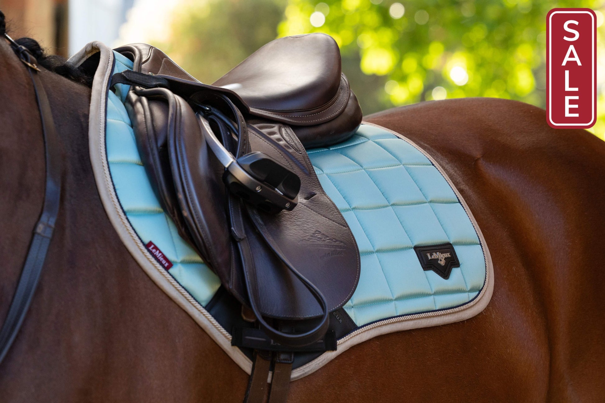 LeMieux Loire Classic Aqua GP Saddle Pad-English Saddle Pad-LeMieux-Small/Medium-Evolution Equestrian Co.