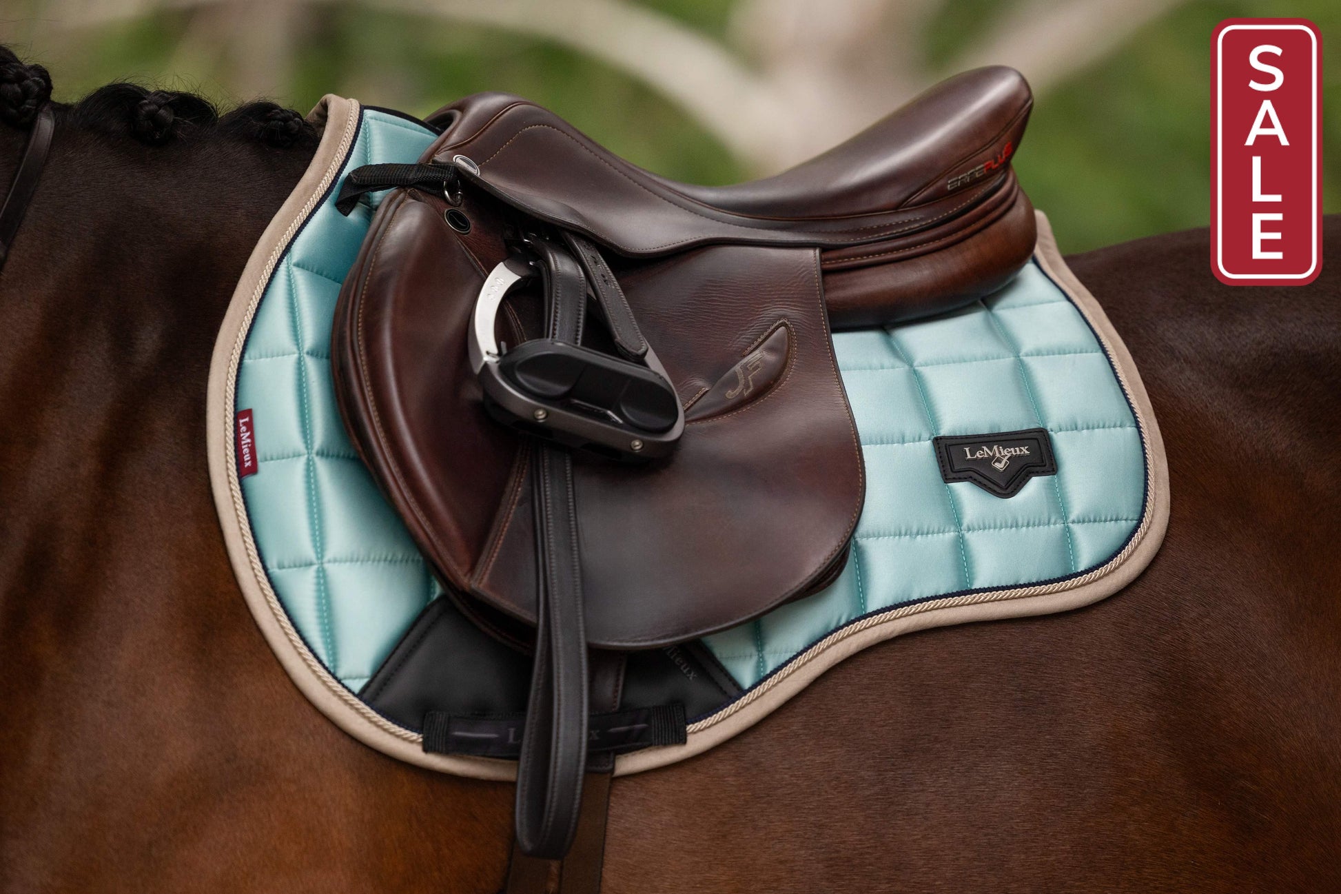 LeMieux Loire Classic Aqua GP Saddle Pad-English Saddle Pad-LeMieux-Small/Medium-Evolution Equestrian Co.